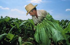 نتیجه جستجوی لغت [labor] در گوگل