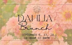 Dahlia Brunch