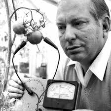 Stream Vocal Fry music