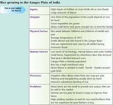 Different Types Of Agricultural Activity Geography