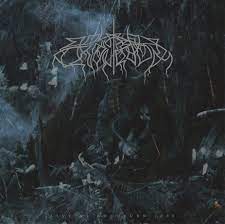 An exceptionally well turned out beast, sporting a gold foil embossed logo. Wolves In The Throne Room Live At Roadburn 2008 Lp Pelagic Records