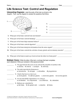 Oct 21, 2021 · a comprehensive database of more than 135 anatomy and physiology quizzes online, test your knowledge with anatomy and physiology quiz questions. Brain And Nervous System Resources Teachervision