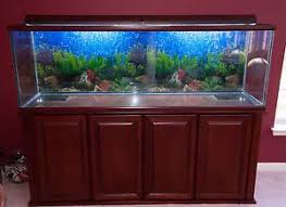Oceanic 135 Gallon Aquarium Aquarium Ocean Gallon