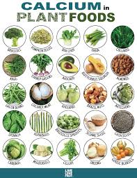 25 Calcium Rich Plant Foods That Dont Come From Dairy