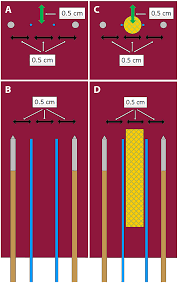 Van lienden blijkt daarmee toch fors te hebben verdiend aan de handel in beschermingsmiddelen. The Influence Of A Metal Stent On The Distribution Of Thermal Energy During Irreversible Electroporation