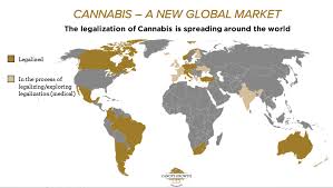 Engages in the production and sale of medical cannabis. Legalization Of Marijuana In Canada And The True Potential Of Canopy Growth Nyse Cgc Seeking Alpha