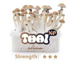100 Mycelium Magic Mushroom Growkit Thai Trufflemagic Fresh Truffles Grow Kits