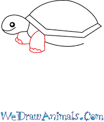 Follow these step by step drawing instructions. How To Draw A Simple Turtle For Kids