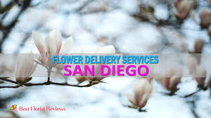 Maybe you would like to learn more about one of these? The 15 Best Options For Flower Delivery In San Diego Bestfloristreview
