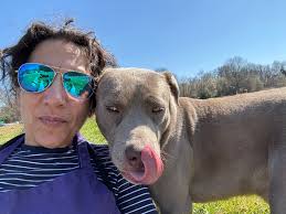 Urgent foster needed for dog