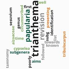 Image result for Trianthema salsoloides