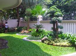 Bukan tanpa alasan, bentuknya yang cantik cocok untuk mempercantik halaman rumah sekaligus menyerap polusi. Cara Menanam Rumput Gajah Mini Bibitbunga Com