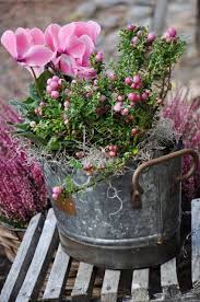 My Inner Landscape In 2020 Bepflanzung Blumenkubel Fur Den Herbst Blumen Im Blumentopf