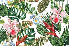 Tropical palm leaves set isolated on white background. Pin On Tropical Pattern Backgrounds