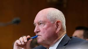 Georgia's college system still hasn't named a permanent chancellor. What's  next?