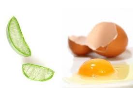 Make sure to coat the top of your scalp and the ends of your hair. Aloe Vera Egg Hair Mask 7 Diy Recipes Benefits And Uses Mask Natural