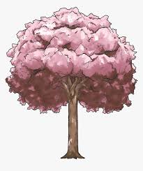A anime yaoi seiyuu english i am starting make gif now and i like it so much. Transparent Sakura Clipart Cherry Blossom Anime Tree Hd Png Download Kindpng