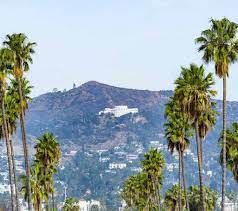 A common mistake for someone to make is to select species that do well along the coast of southern california but they live in a desert area like palm springs. How To Care For Palm Trees In California Garden Tabs