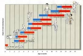 Stages Of Motor Development Motor Development Chart By