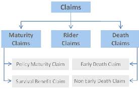 Life Insurance Claim Settlement Filling Documentation