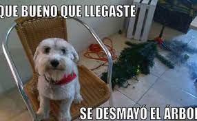 Celebra La Navidad En Leon Y Su Provincia La Informacion Navidena Al Completo Los Mejores Memes De La Navidad Leonoticias