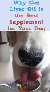 Cod Liver Oil For Dogs Why It S The Best Supplement Oils For Dogs Cod Liver Oil Dog Supplements