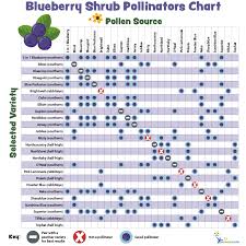 Pollination Charts For Fruit Bearing Trees And Shrubs My