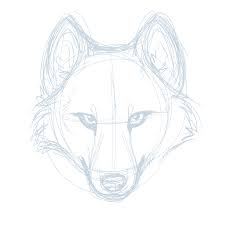How to draw anime wolves you can try our simple steps on how to draw anime wolves. Wolf Face Drawing Wolf Sketch Dog Print Art