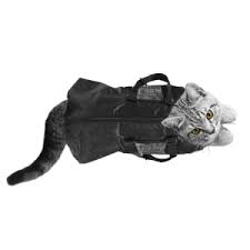 Includes medium cat bag and a free medium cat muzzle. Amazon Com Downtown Pet Supply Cat Grooming Bag Large Cat Restraint Bag Cat Muzzle Pet Care Products Pet Supplies
