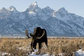 Jackson hole airport board special meeting june 28th, 2021 9:00 am. 10 Reasons Why Jackson Hole Is Best In The Spring