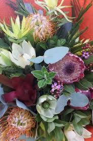 The texas a&m cooperative extension and flowerinfo.org. Best Flower Delivery Service Adelaide Hills