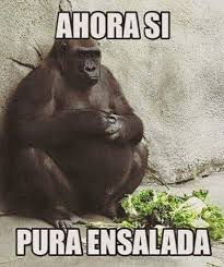 Ahora Si Pura Ensalada Memesmexicanos Funny Monkey Memes Monkeys Funny Monkey Memes