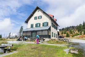 View this route or plan your own! Wanderung Auf Den Rachel Von Gfall Uber Waldschmidthaus Auf Den Berg De