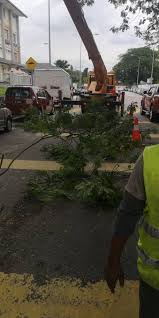 We did not find results for: Mpp Pekan Batu Tangani Isu Setempat Berita Parti Islam Se Malaysia Pas