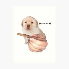 Quieres Puppy Art Print By Axel Klebold Redbubble