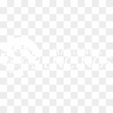 We offer you for free download top of university of oxford logo pictures. Download University Of Oxford Logo Png Transparent Png 1500x500 3042786 Pngfind