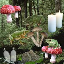 Check out amazing goblincore artwork on deviantart. Goblincore Cottagecore Frog Mushroom Hd Mobile Wallpaper Peakpx