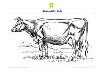 Ausmalbilder Bauernhoftiere Kostenlose Ausmalbilder