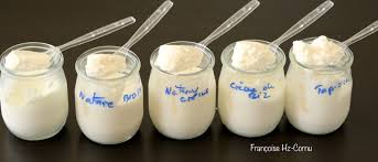 Yaourt de Kéfir Etude comparative.