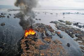 The total damages from the earthquake and tsunami are estimated at $300 billion (about. 2011 Japan Tohoku Earthquake Chinese Netizen Reactions Chinasmack