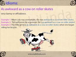 Www Nabilinda Com English Idioms Idiomatic Expressions Idioms