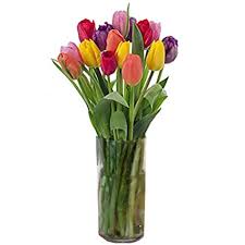 At farmfresh flowers, we have the flowers to suit your needs. Amazon Com Stargazer Barn Confetti Bouquet With Stems Of Colorful Tulips With Vase Fresh Flowers 15 Count Grocery Gourmet Food