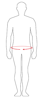 How to size your tool belt? How To Measure For Pants 19th Stitch
