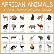 African animals interesting and their pictures show what they look like. African Animals Montessori Printables Free 3 Part Cards 1 1 1 1