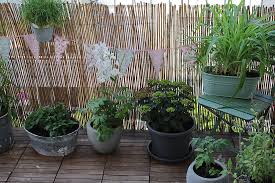 Gärtnern ist schon immer eine leidenschaft von silvia. Balkonstories Das Gartenfraulein Wohnungsgarten
