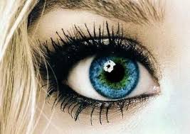 Green aqua akvarisztikai bolt és webáruház. Turquoise Aqua Eye Color Novocom Top