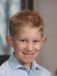 Vehicle strikes and kills Westland boy, his dog