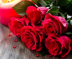 love rose flowers