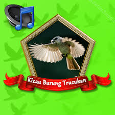 Di dalam aplikasi ini terdapat lebih dari 18 suara kicauan burung. Master Burung Trucukan Mp3 1 1 Apk Apk Tools