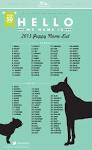 Best Male Dog Names - 200 Great Ideas For Naming Boy Puppies!